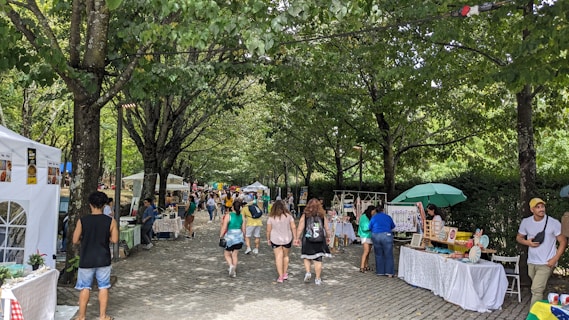 A bustling outdoor market with various stalls set up along a tree-lined path. People are walking and browsing among the colorful displays of goods. The atmosphere is lively under the canopy formed by the green leaves overhead.