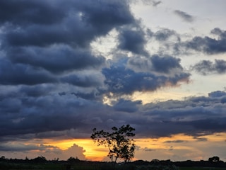 An emergency storm-damaged tree being safely rescued by true 'n' fair tree care crew late evening in Norwood Young America under dramatic skies.