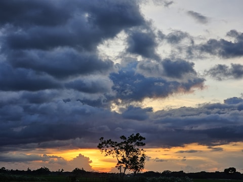 An emergency storm-damaged tree being safely rescued by true 'n' fair tree care crew late evening in Norwood Young America under dramatic skies.