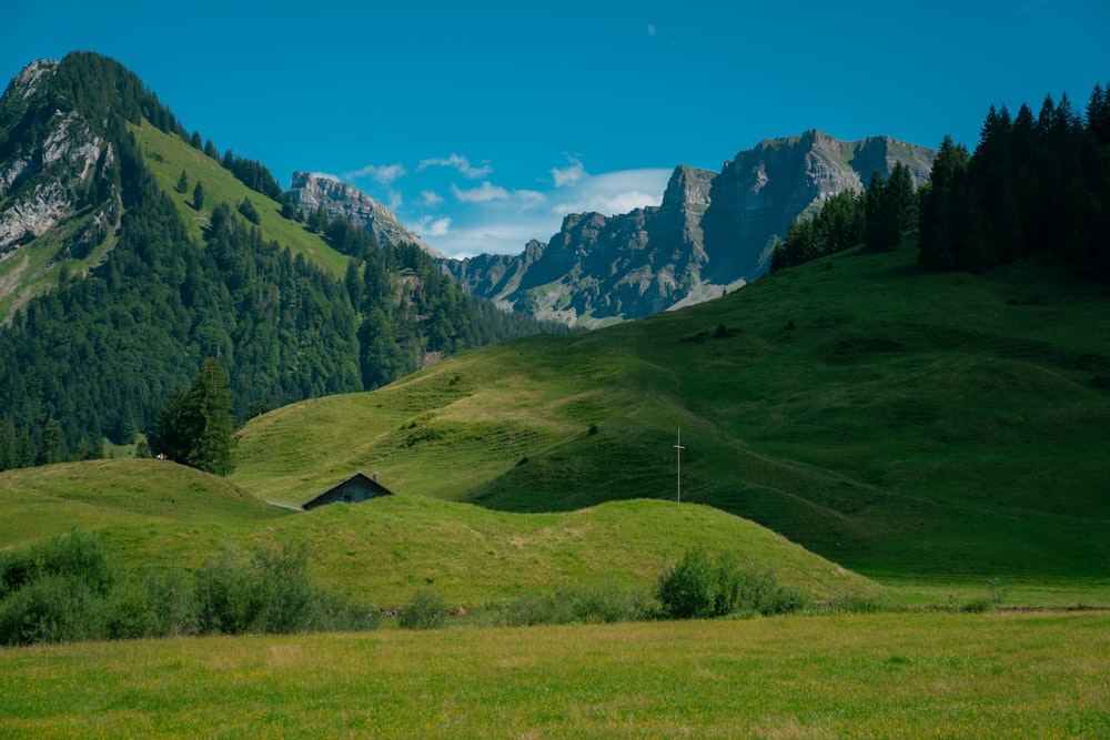 a grassy field with a mountain in the background