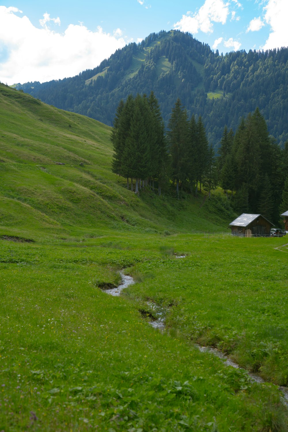 a grassy field with a stream running through it