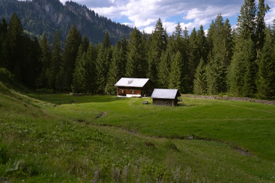 A serene mountain cabin surrounded by lush green alpine meadows under a clear blue sky.