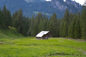 A solitary wooden cabin with a tin roof is situated in a lush green meadow, surrounded by dense coniferous forest. The background highlights a majestic mountain range with hints of sunlight breaking through, revealing rugged terrain.