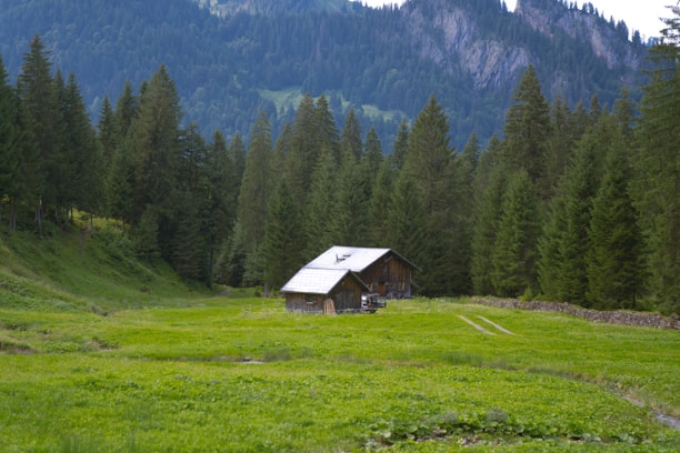 A solitary wooden cabin with a tin roof is situated in a lush green meadow, surrounded by dense coniferous forest. The background highlights a majestic mountain range with hints of sunlight breaking through, revealing rugged terrain.