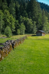 A sleek 20ft shed with wood paneling set in a backyard surrounded by greenery.
