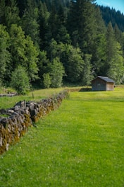 A freshly built wooden shed standing strong in a sunny backyard.