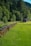 A wooden shed stands in a lush green meadow bordered by a stone wall. Dense forest with tall trees forms the background, casting a natural shade over the scene.