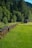 A wooden shed stands in a lush green meadow bordered by a stone wall. Dense forest with tall trees forms the background, casting a natural shade over the scene.