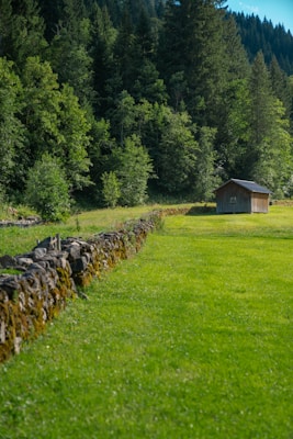 A wooden shed stands in a lush green meadow bordered by a stone wall. Dense forest with tall trees forms the background, casting a natural shade over the scene.