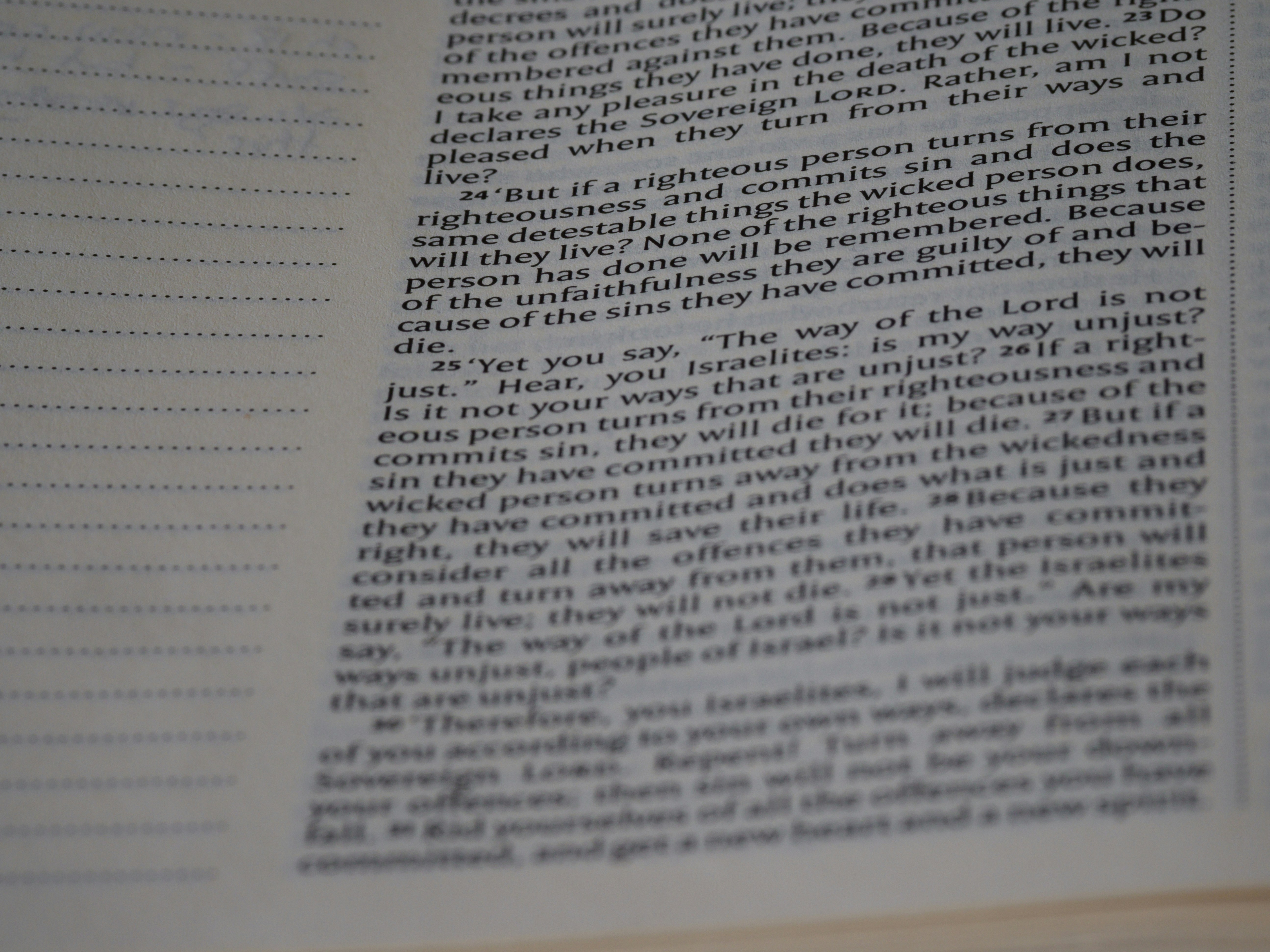 Photo by brett_jordan