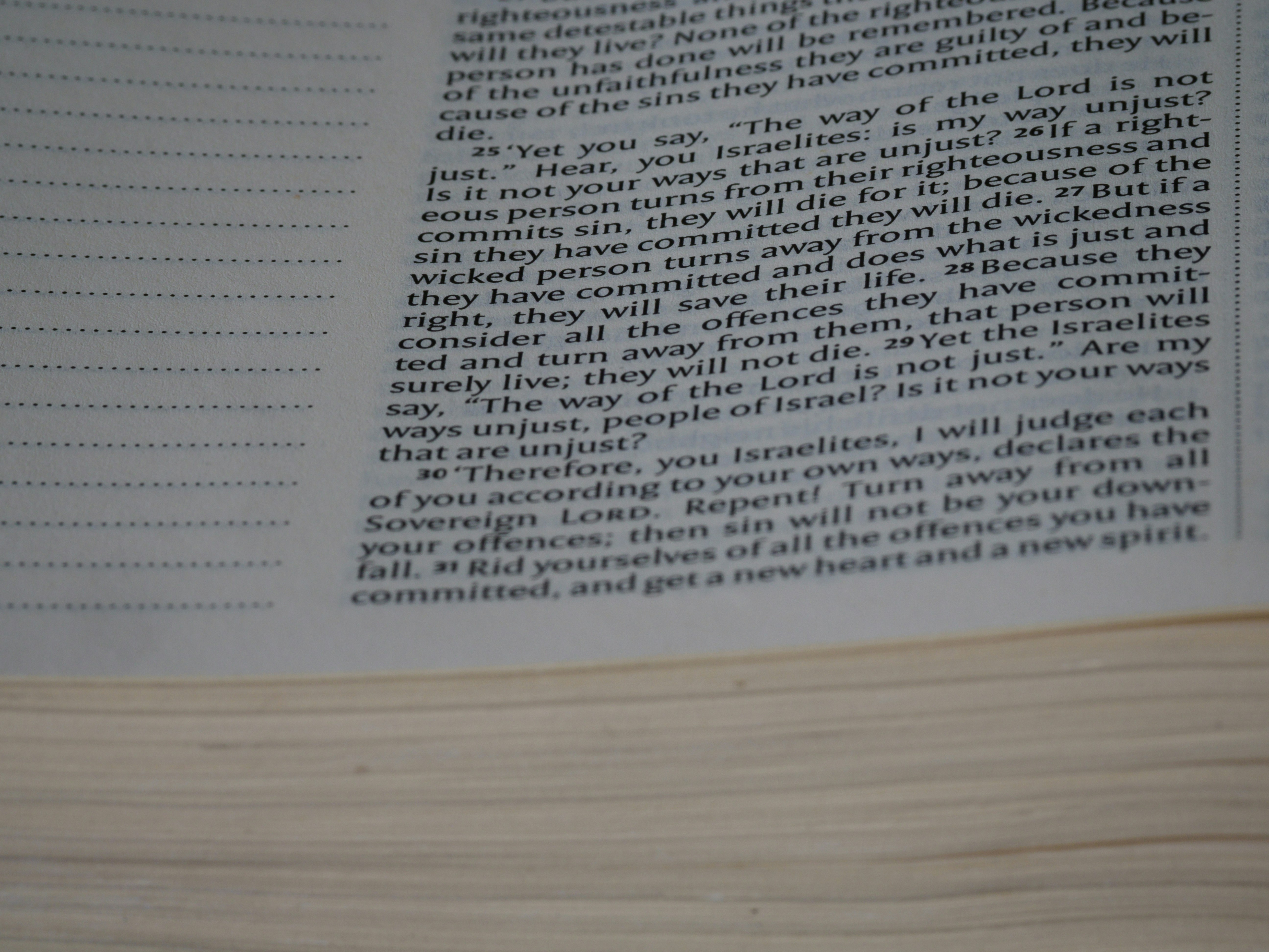 Photo by brett_jordan