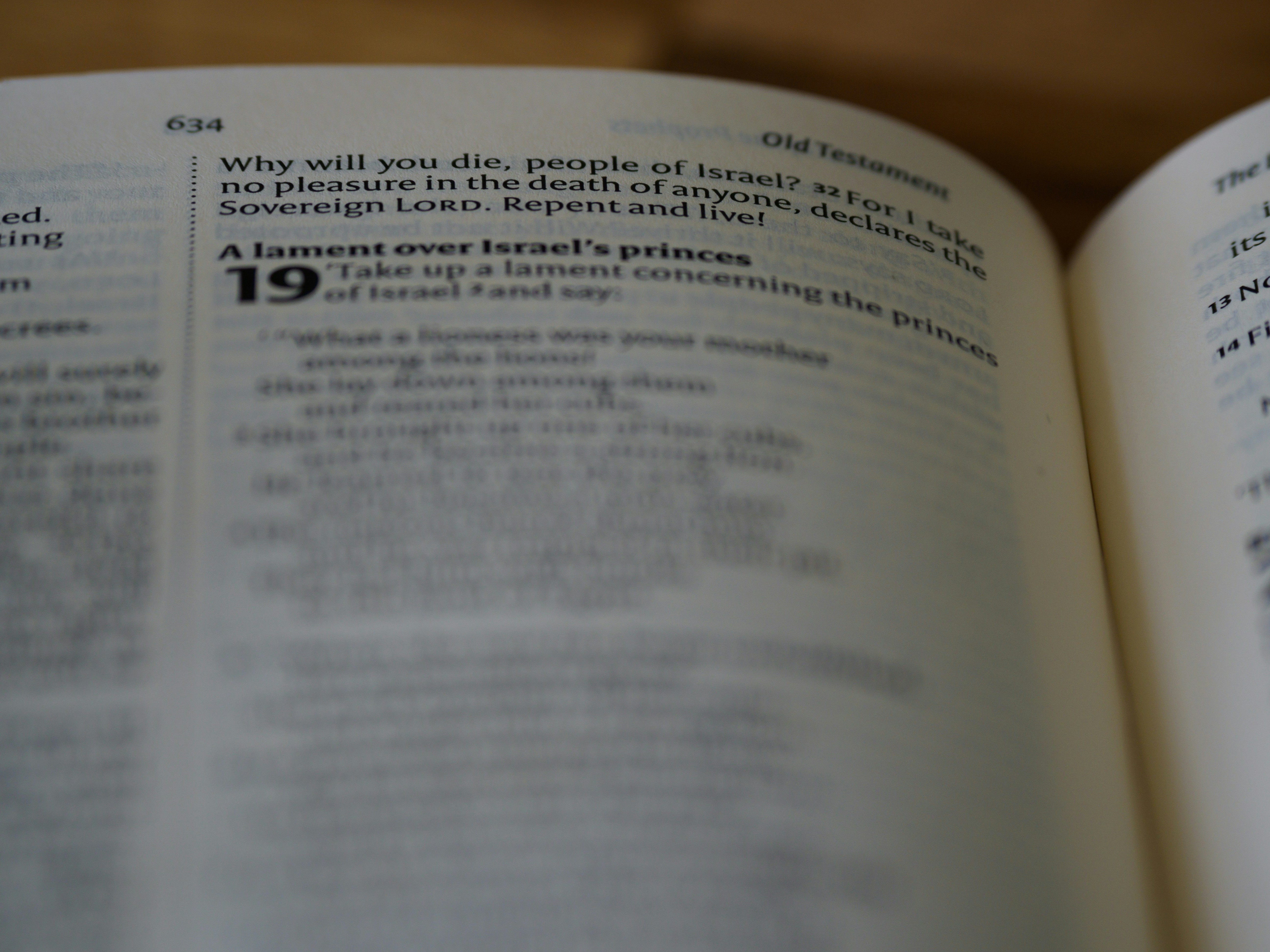 photo-1694682016415-c5f78302518f?ixid=M3wxMjA3fDB8MXxzZWFyY2h8Mnx8Y29weSUyMG9mJTIwbWFzcyUyMGlkfGVufDB8fHx8MTc3MDI0NTIzOXww\u0026ixlib=rb-4.1.0