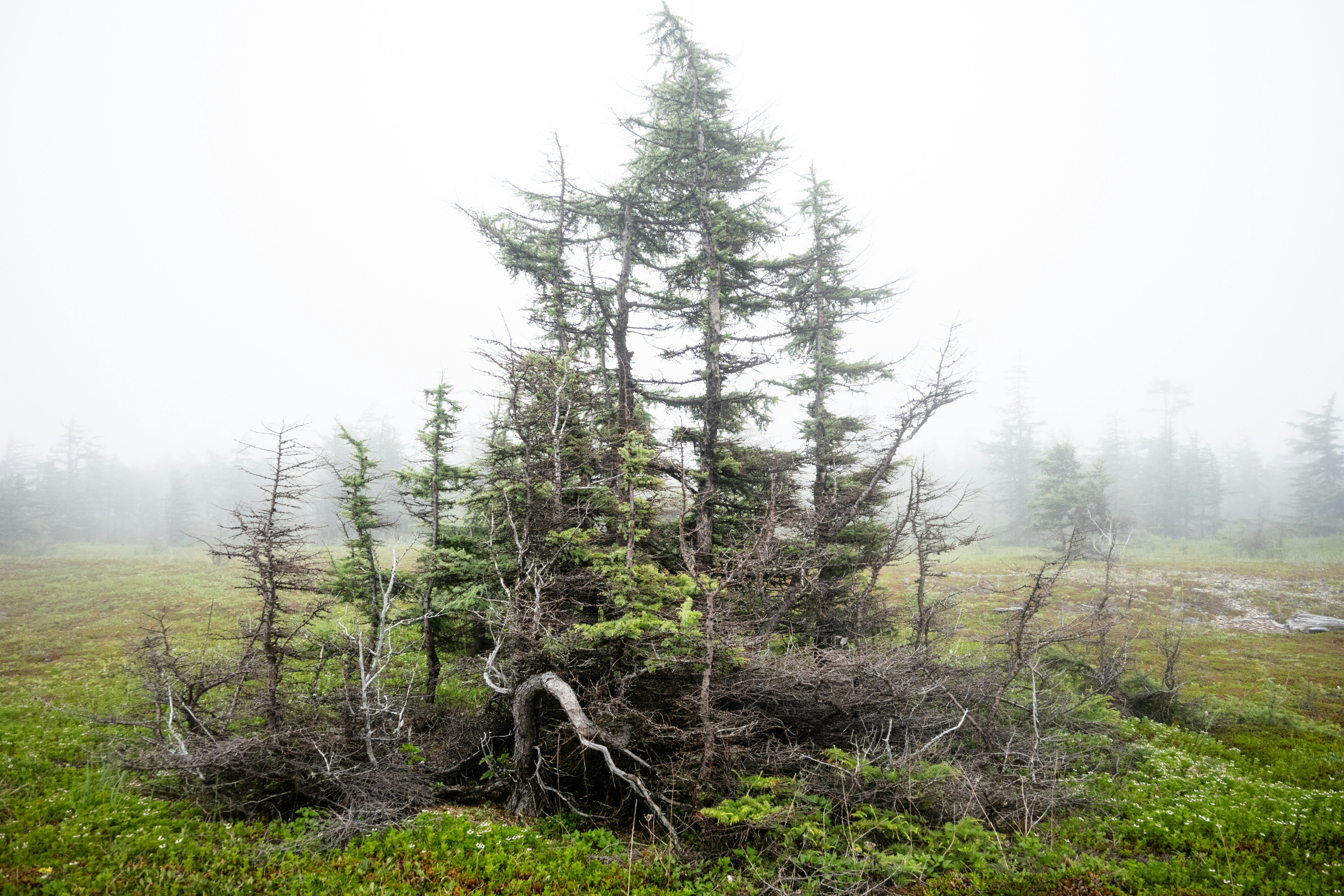 Photo by katya_nutmeg