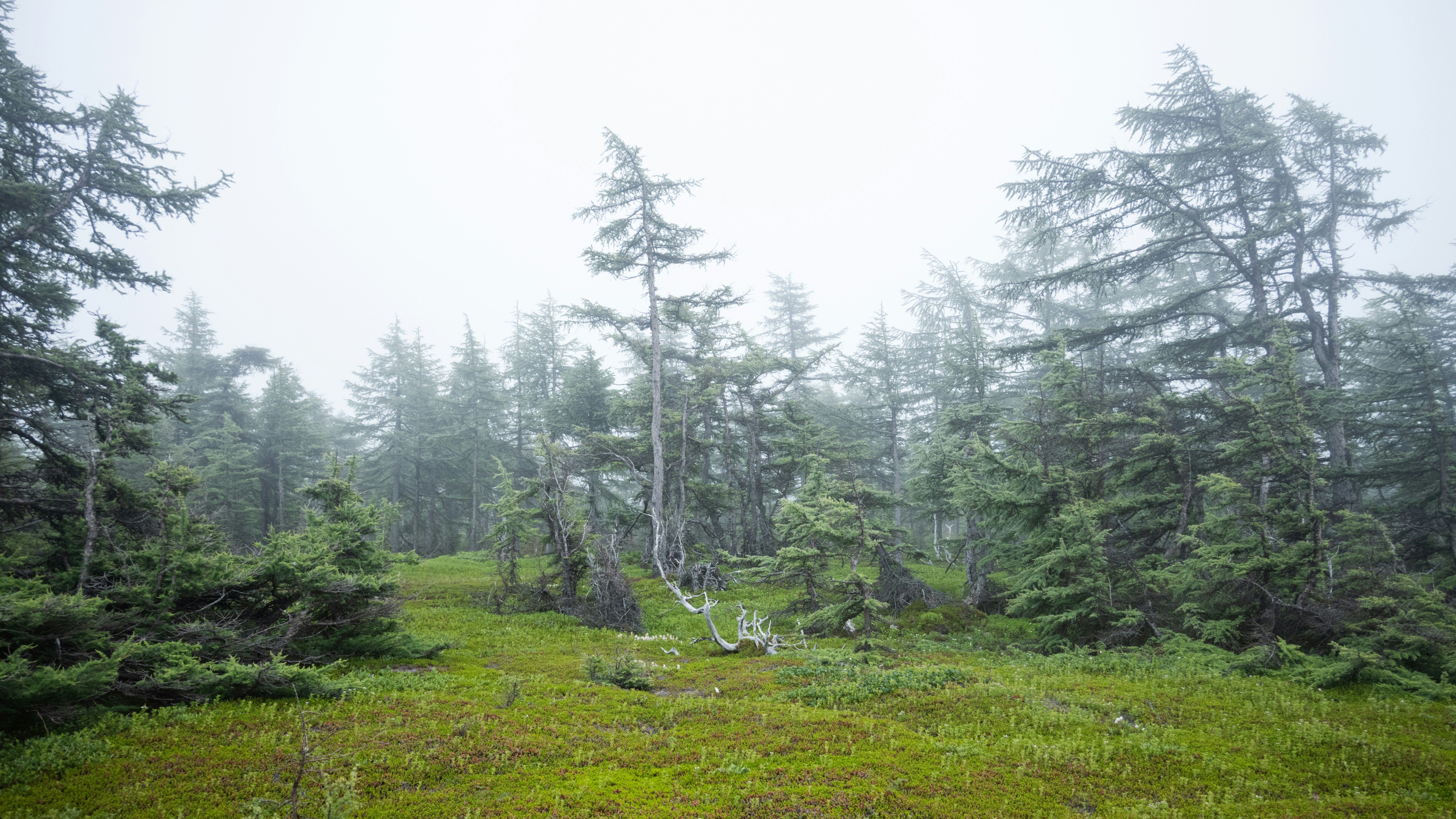 Photo by katya_nutmeg