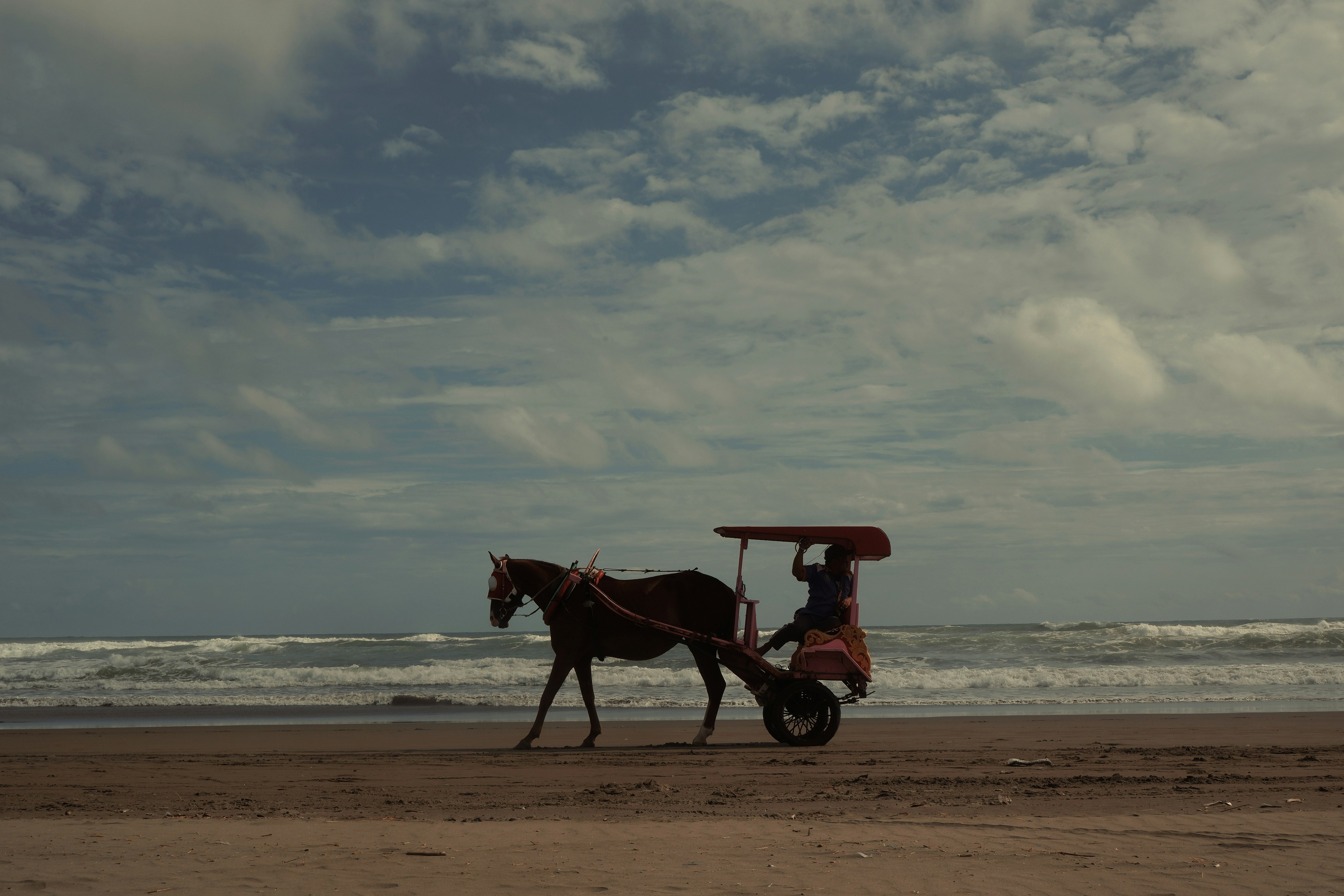 a horse pulling a cart on the beach