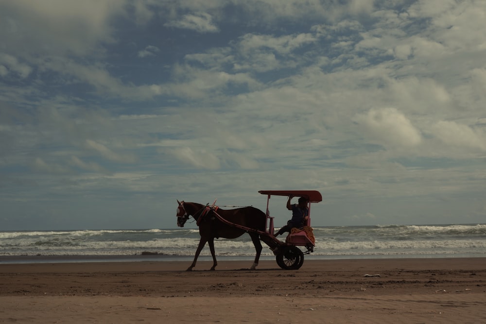 a horse pulling a cart on the beach