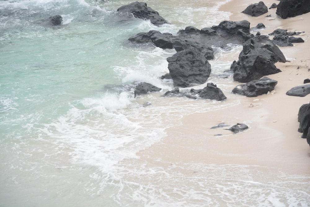 a couple of people standing on top of a beach next to the ocean