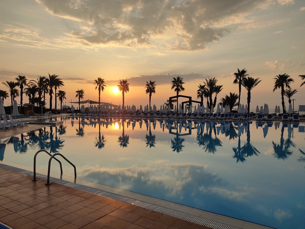 a large swimming pool surrounded by palm trees