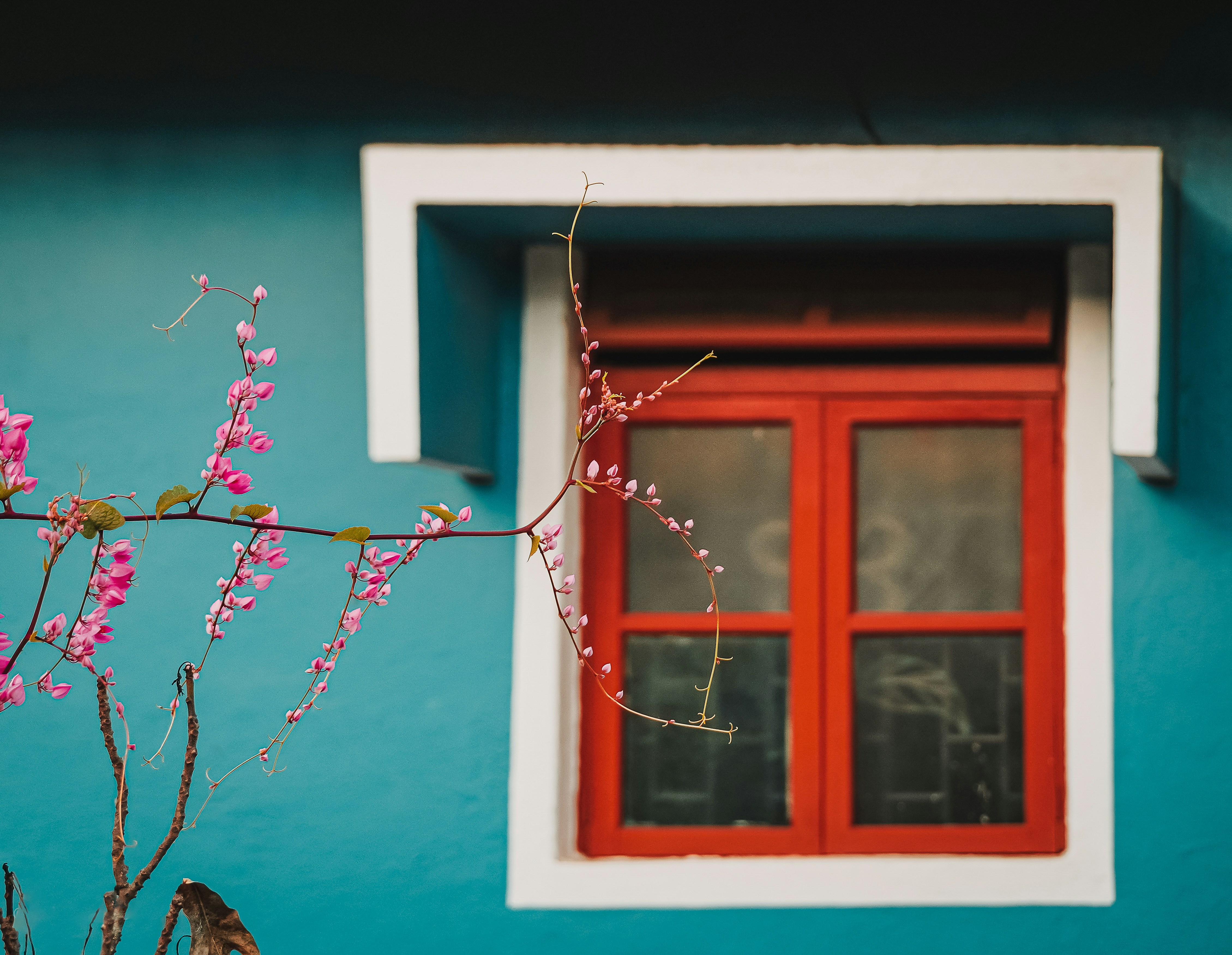 Photo by theblack_hood