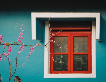 a branch with pink flowers in front of a red window