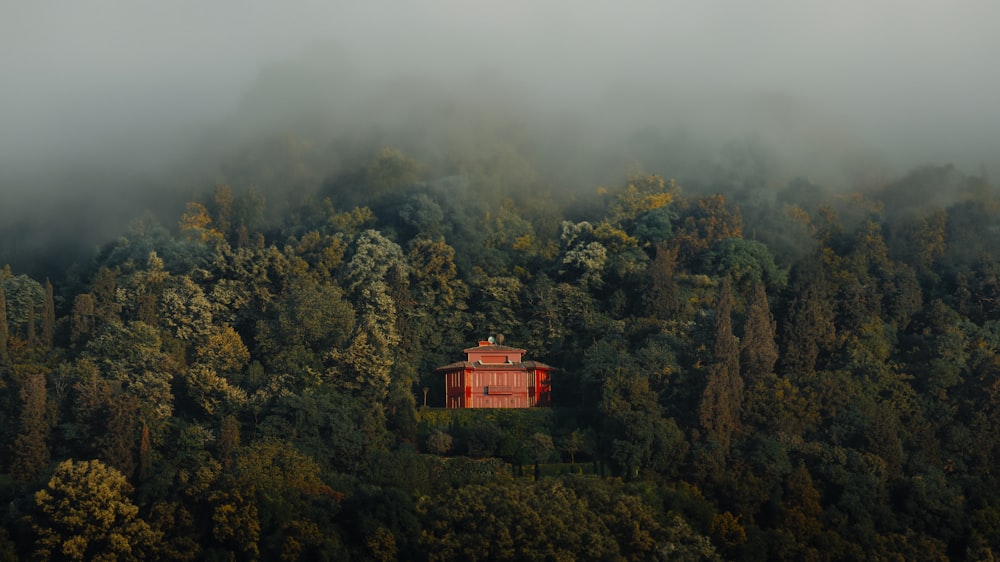 a red house in the middle of a forest