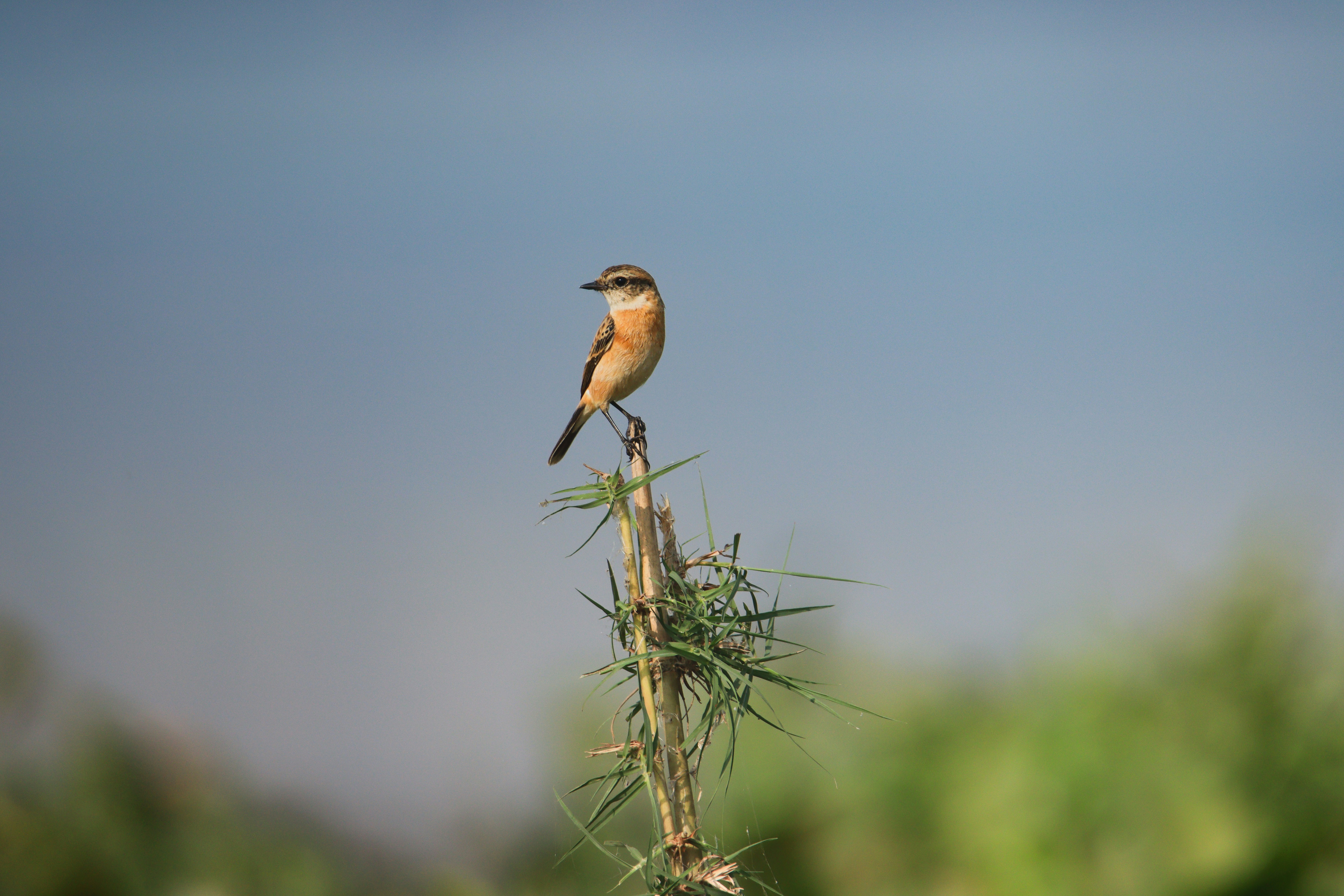 Photo by mhphotography13