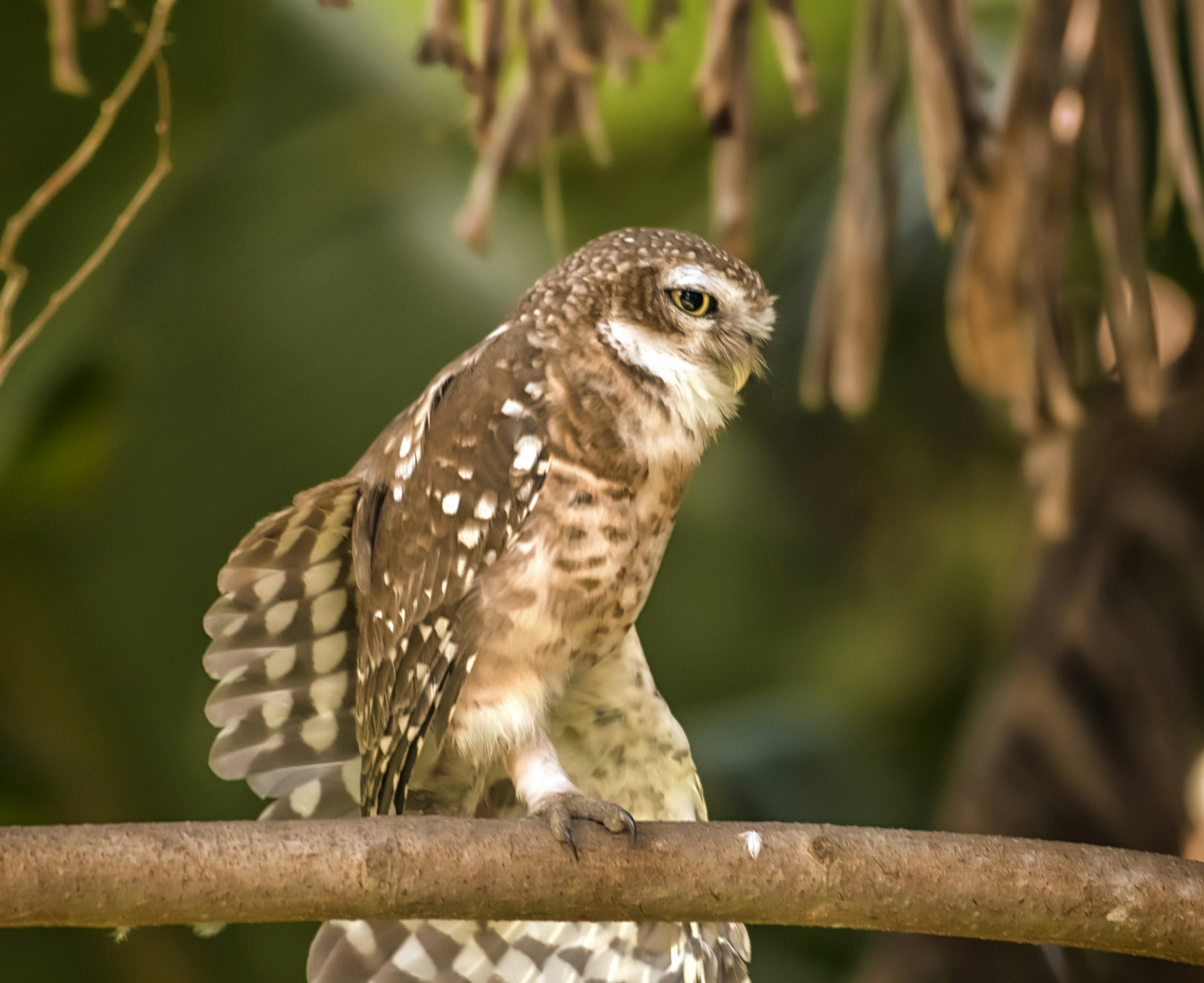 Photo by mhphotography13