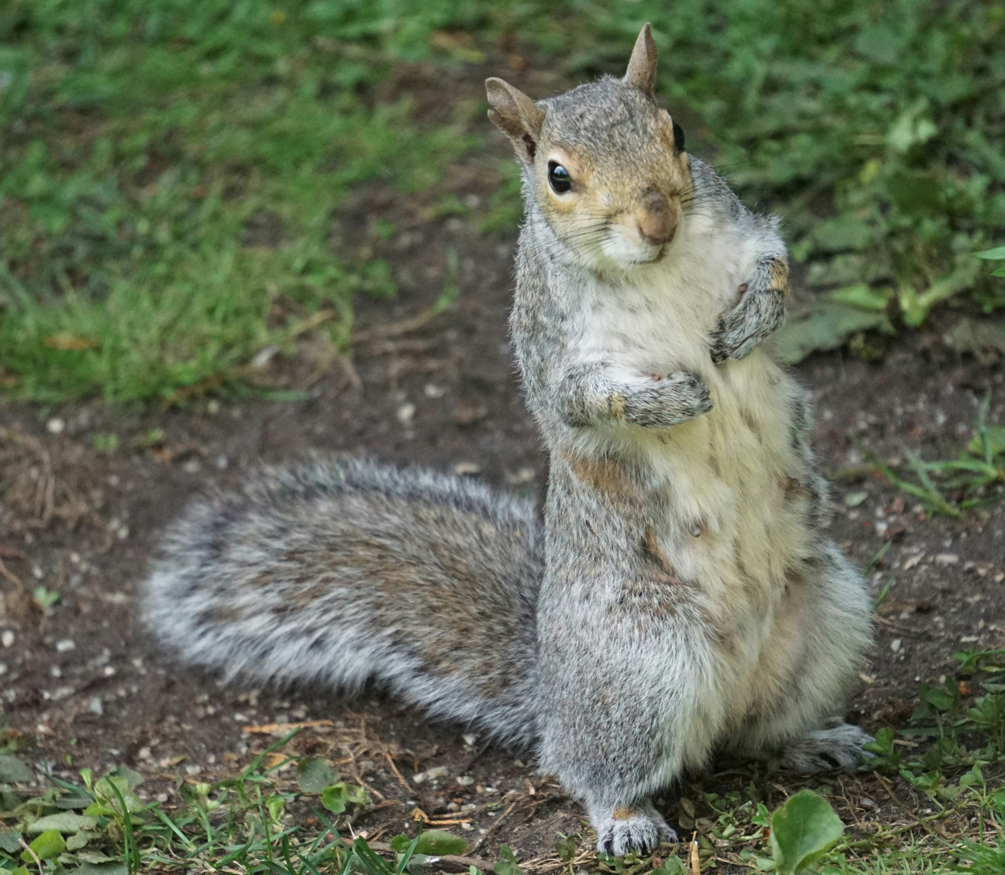 Photo by mostlymarvelling