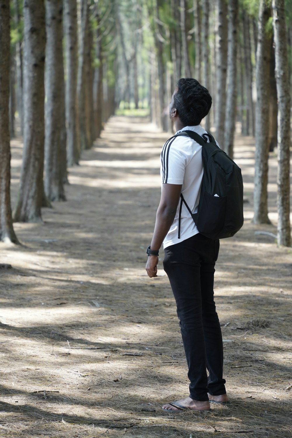 a person with a backpack walking down a path in the woods