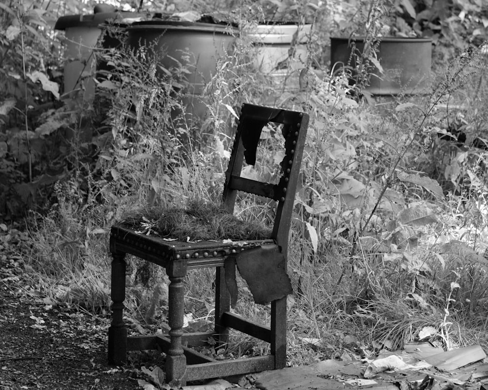 a black and white photo of a chair in a garden
