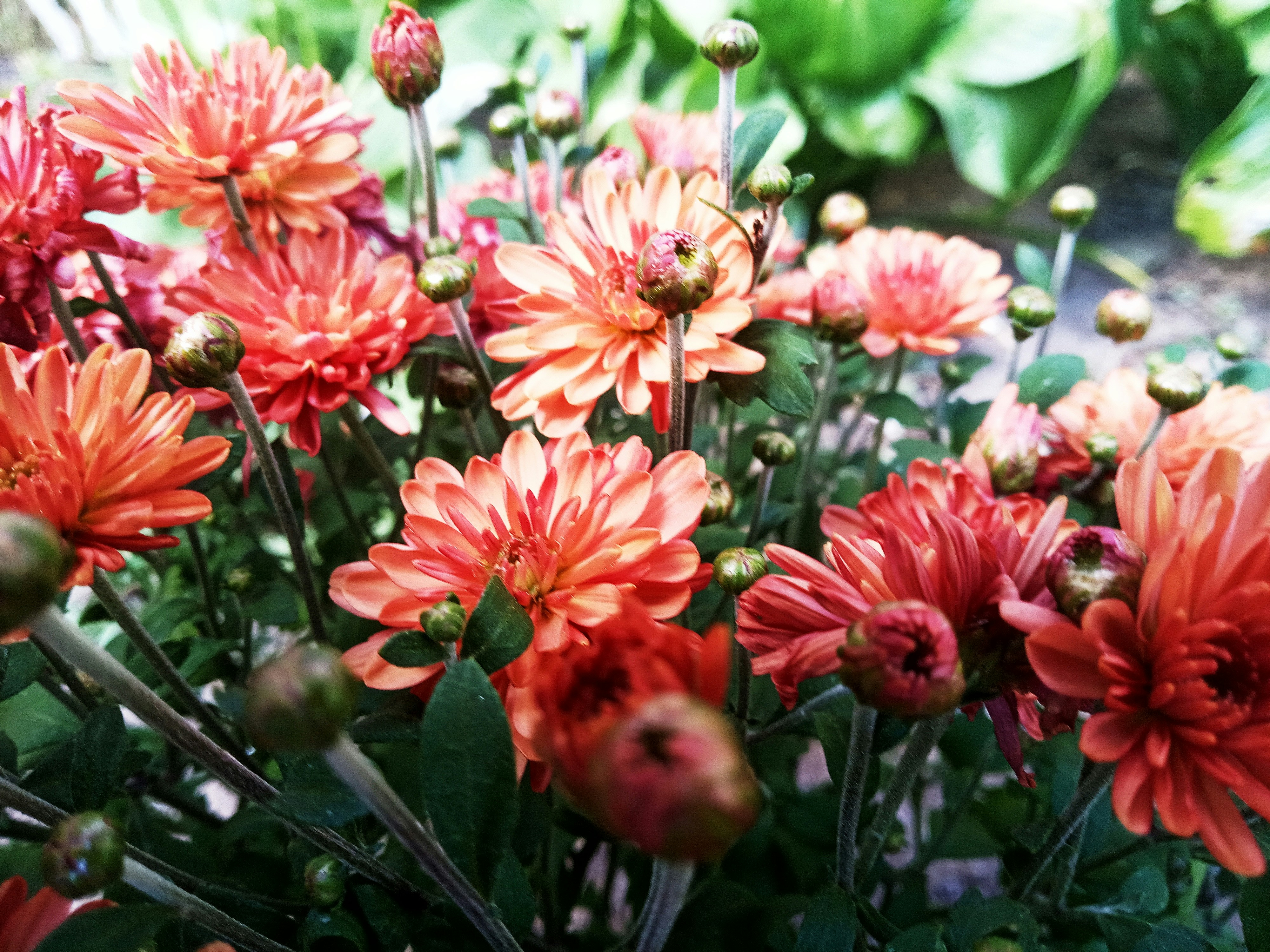 Photo by dmitry_burdakov