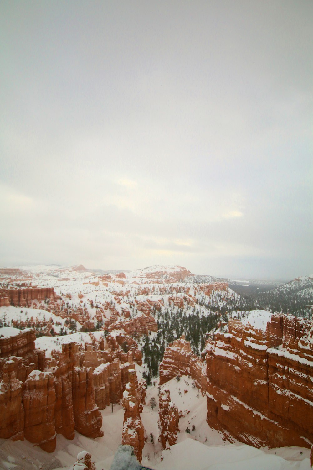 a view of a snow covered canyon and trees