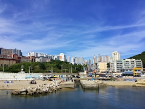 A coastal urban landscape featuring a calm body of water in the foreground, with a sandy beach lined with rocks and a few tents. Behind the beach, there is a bustling cityscape with high-rise buildings and greenery. The sky is clear and blue, contributing to a vibrant, lively scene.