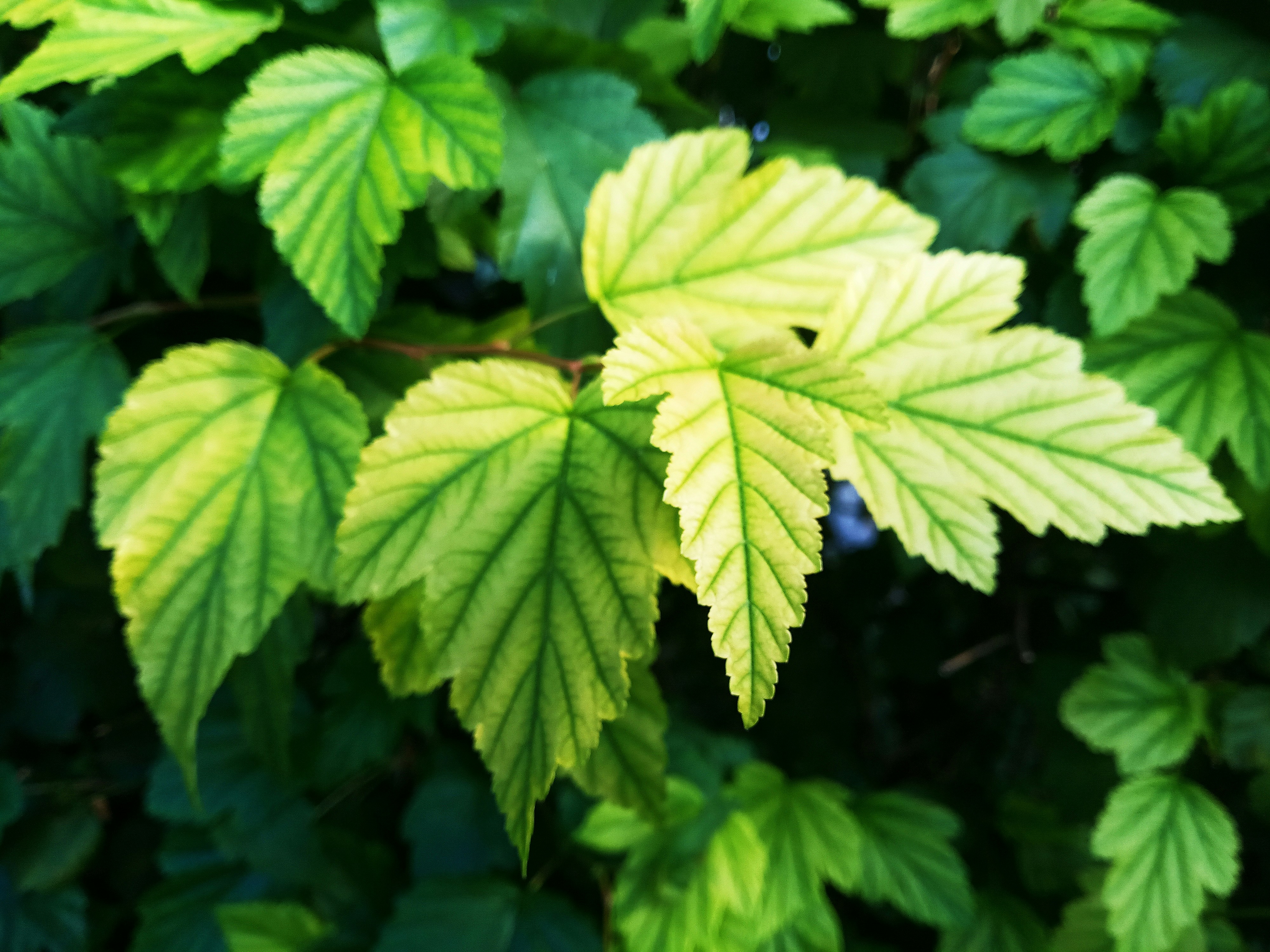 Photo by dmitry_burdakov