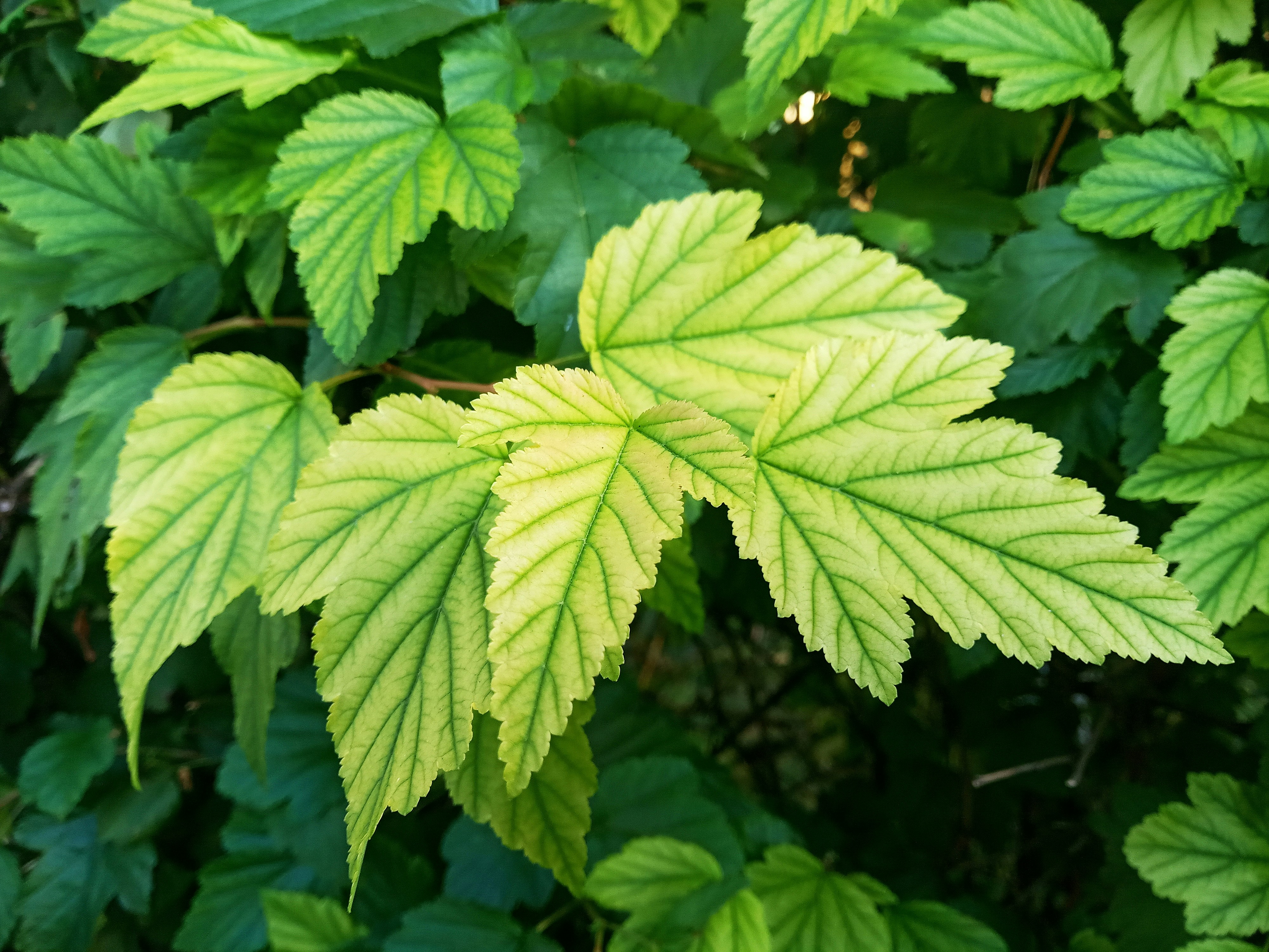 Photo by dmitry_burdakov