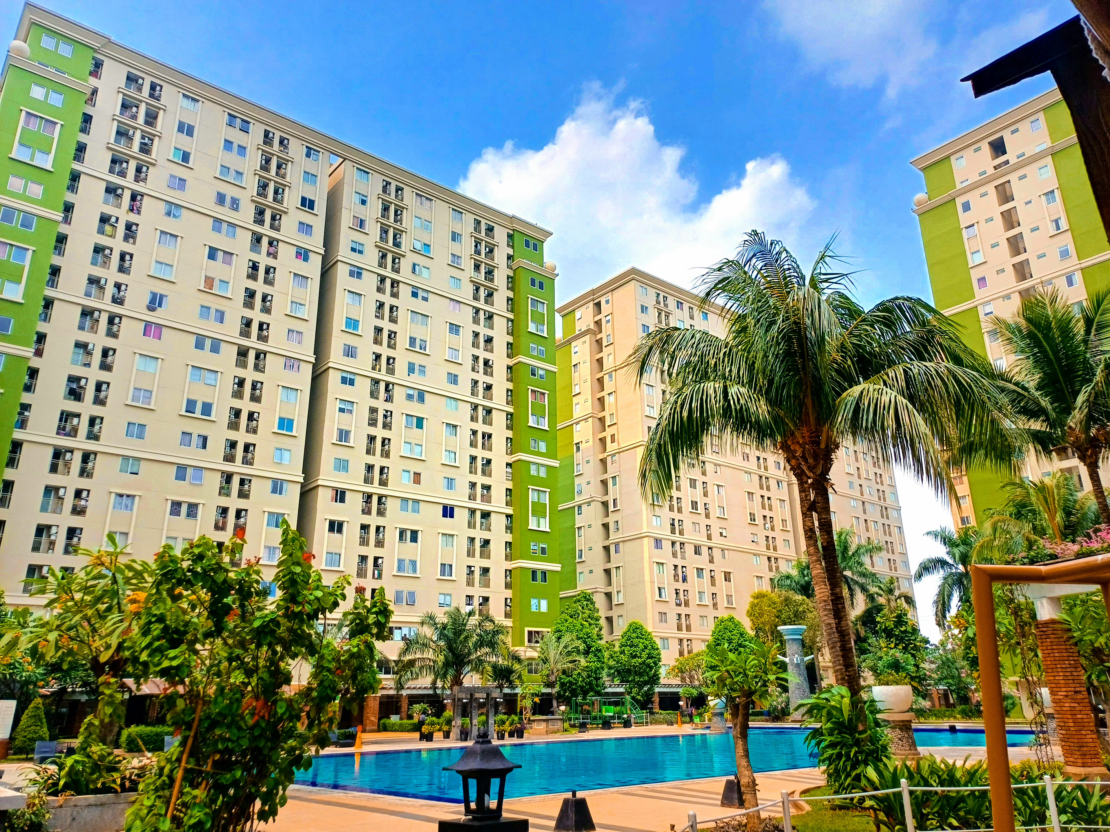 Apartment towers with a pool and palm trees