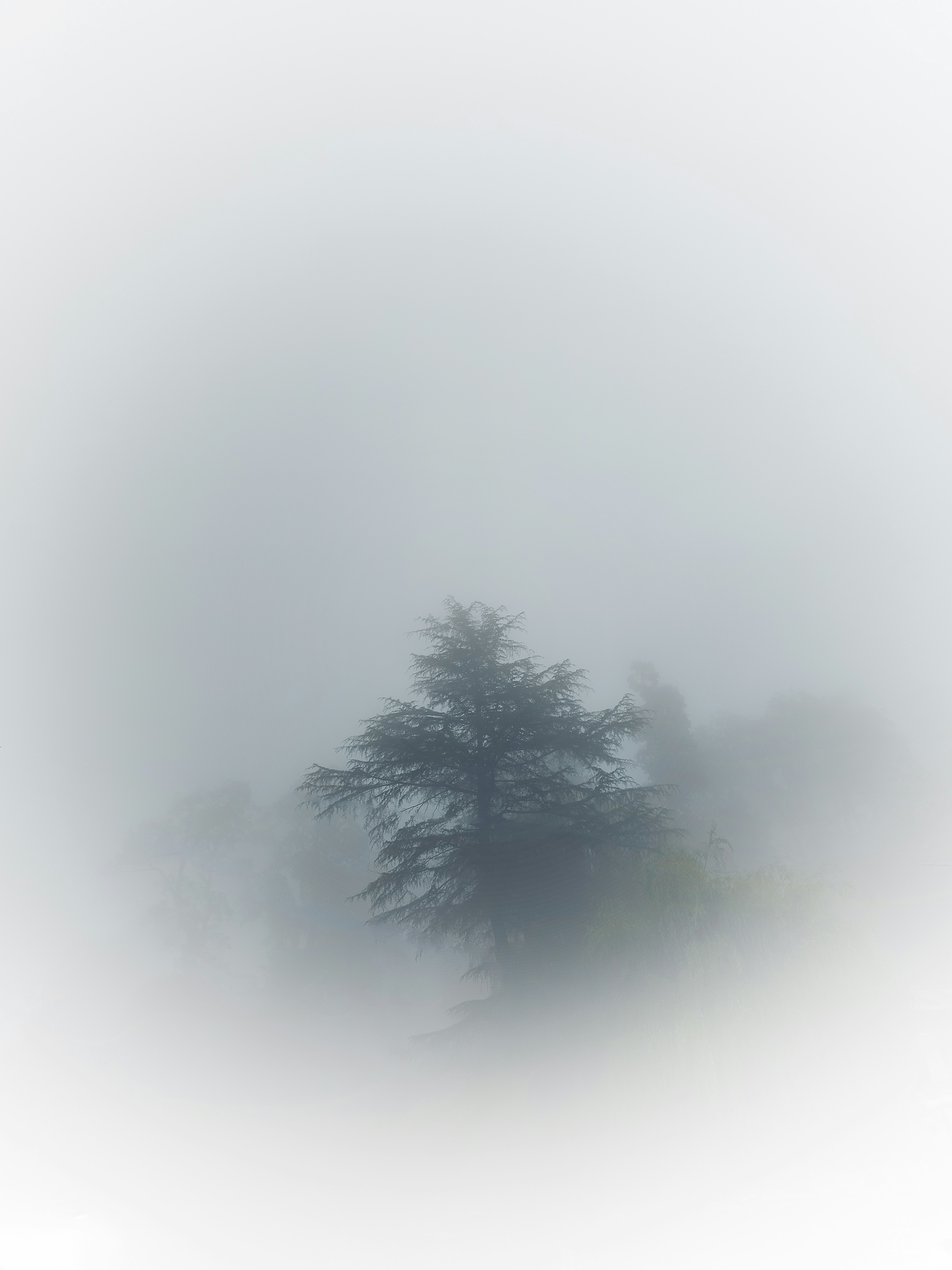 Photo by _priyank007_