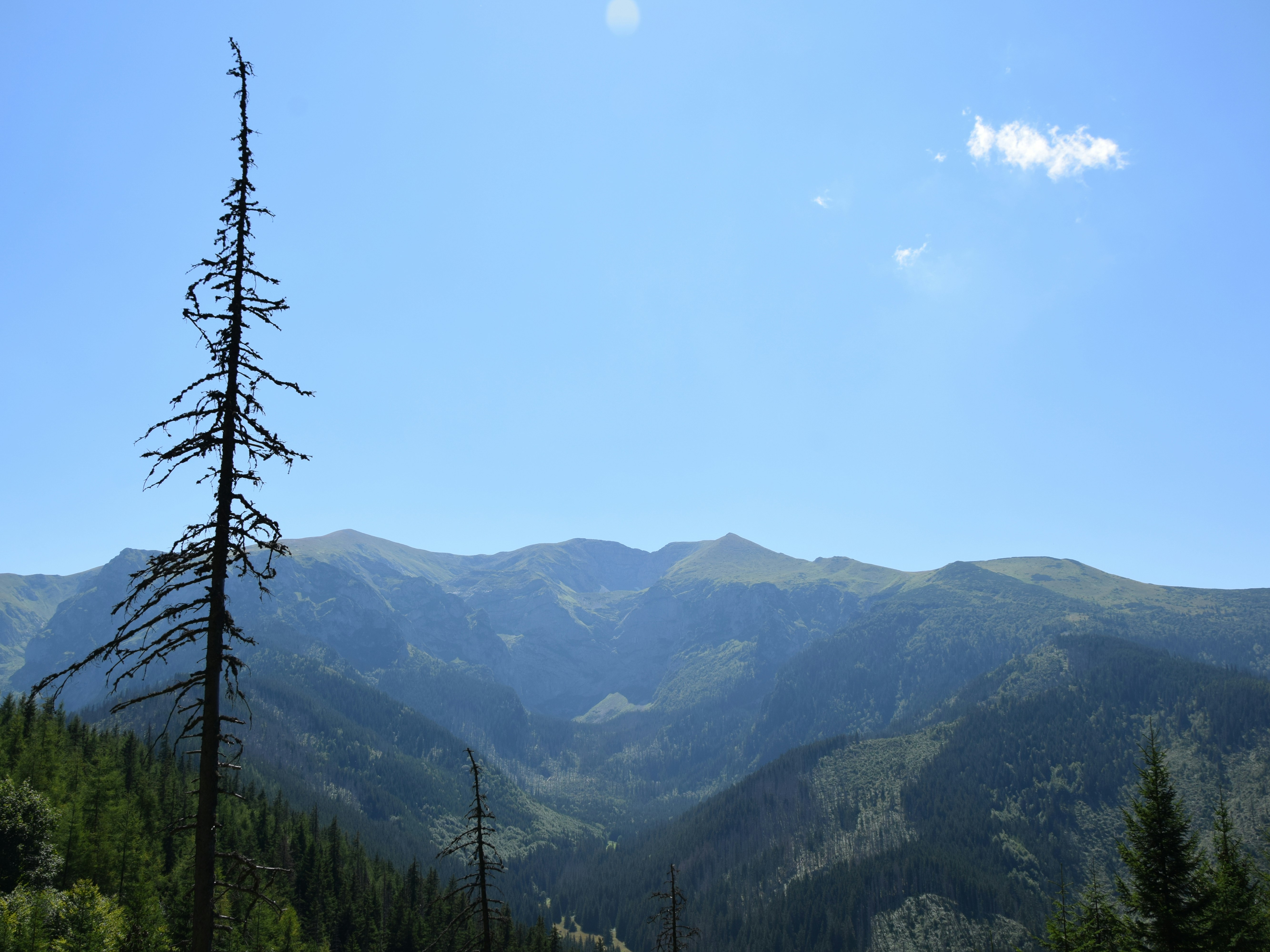 Photo by dominikklos