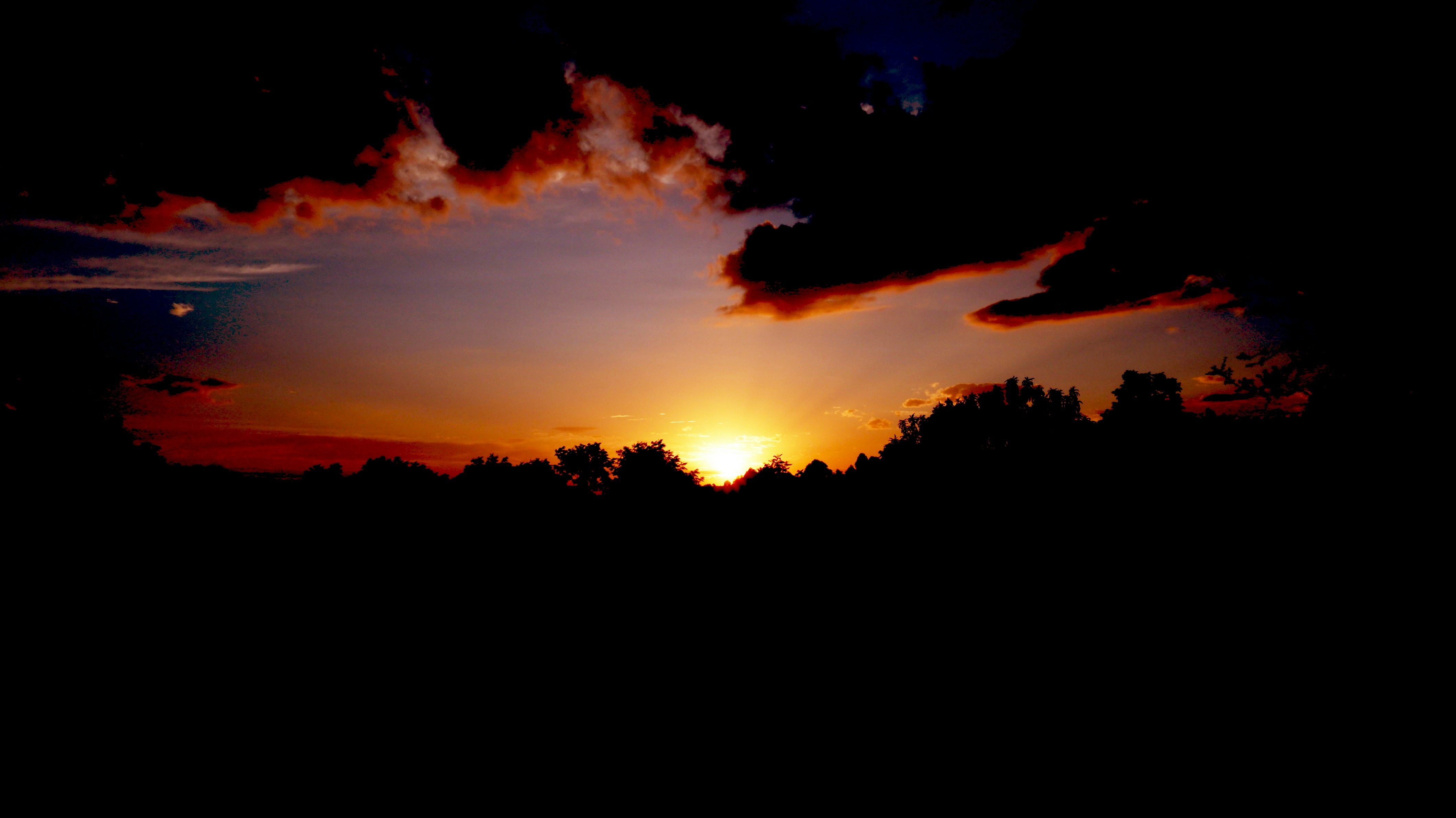 Photo by thegeorgenox