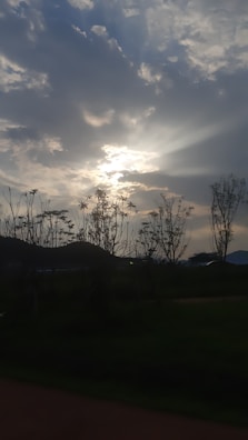 A cinematic frame showing a dramatic outdoor scene with natural lighting.