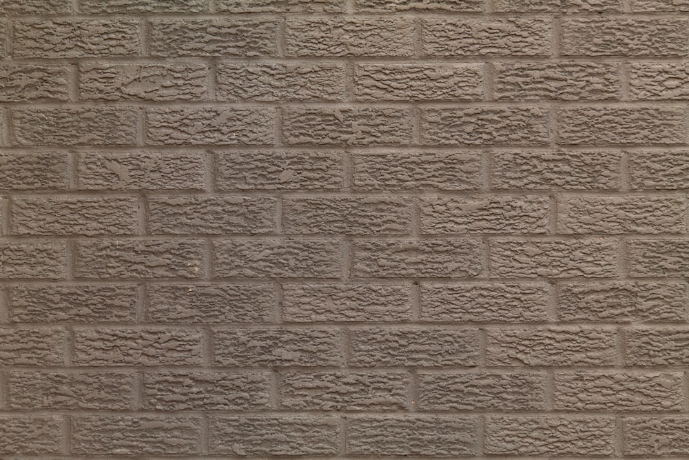 a black and white cat sitting in front of a brick wall