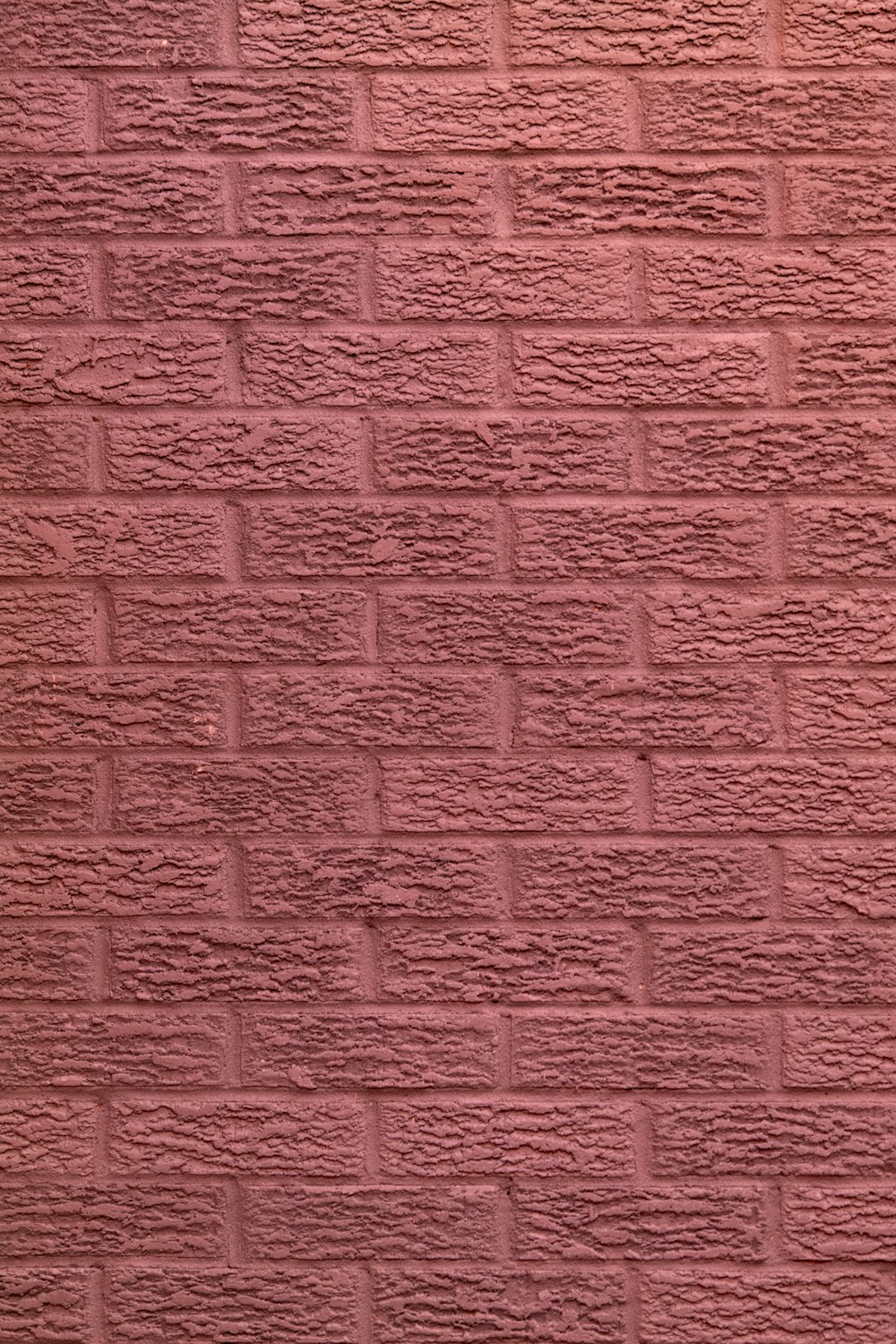 a black and white cat sitting on a red brick wall