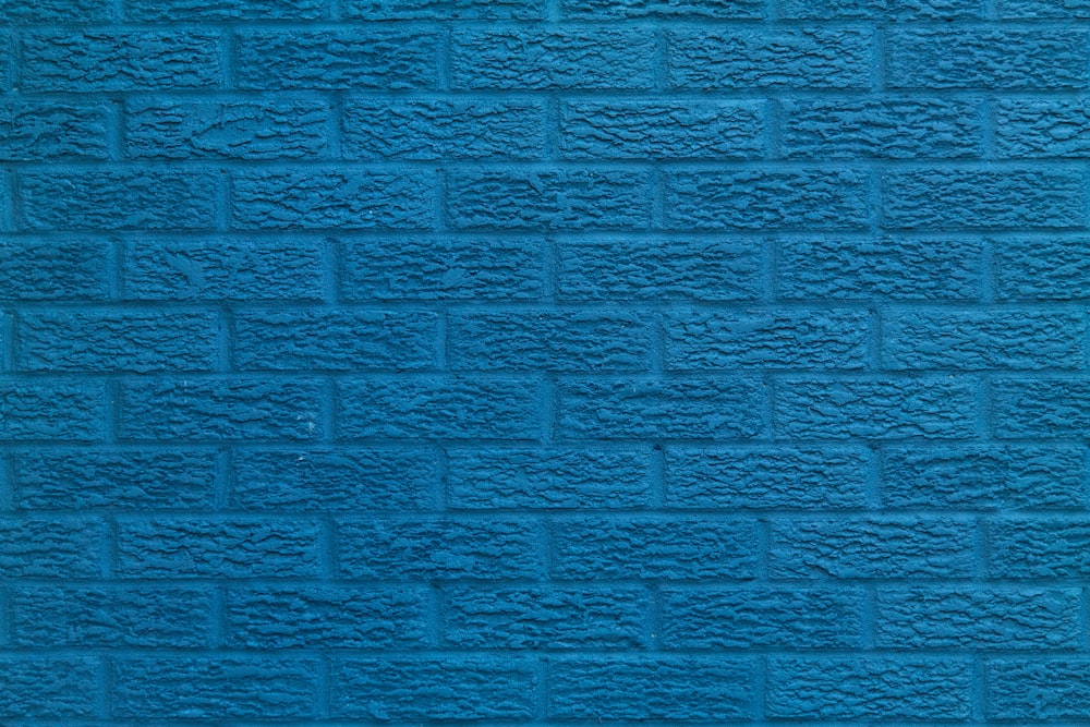 a blue brick wall with a black cat sitting on top of it
