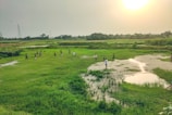 Kids playing a group game on a grassy field surrounded by nature