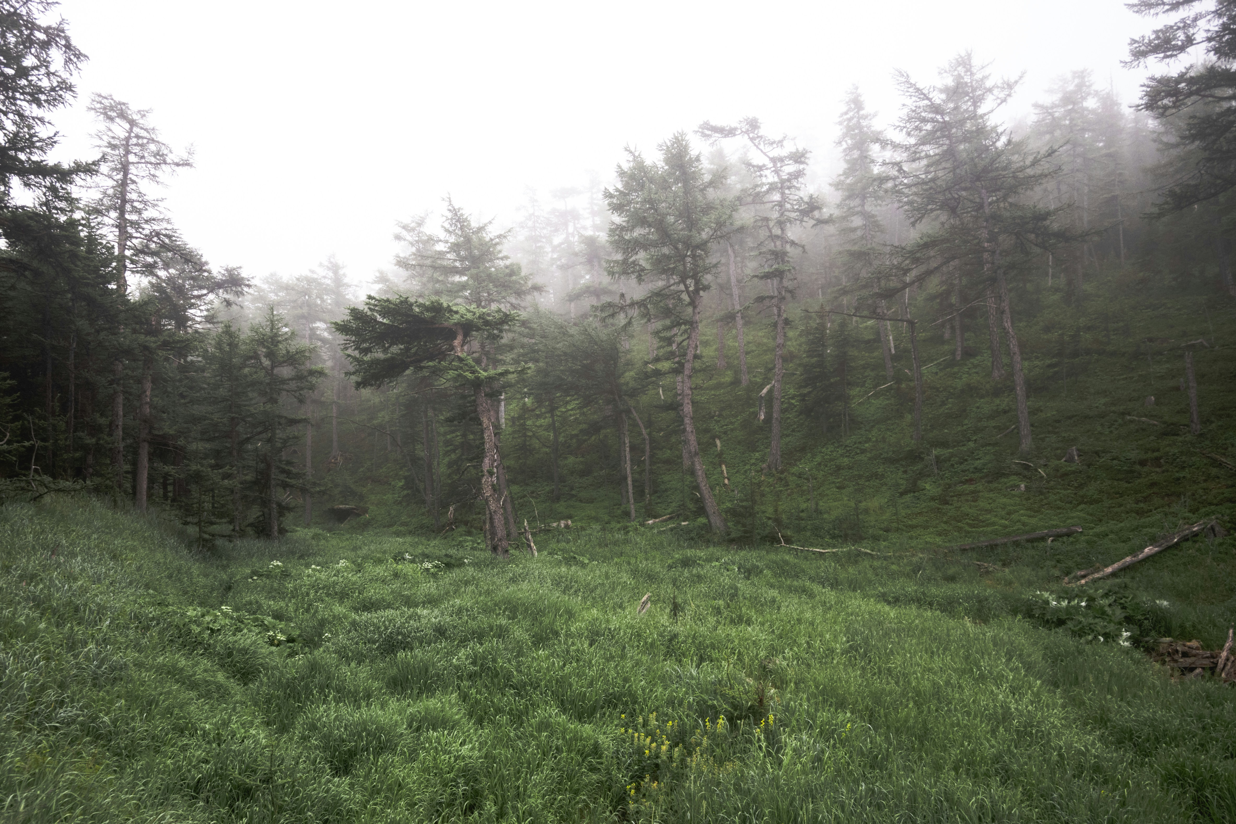 Photo by katya_nutmeg