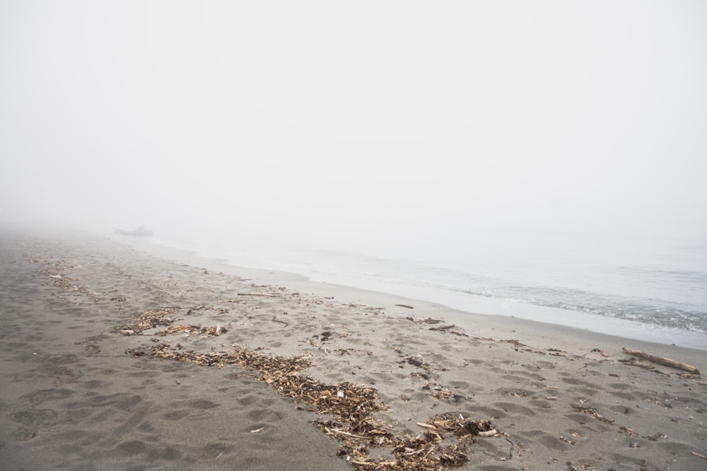 a foggy beach with footprints in the sand