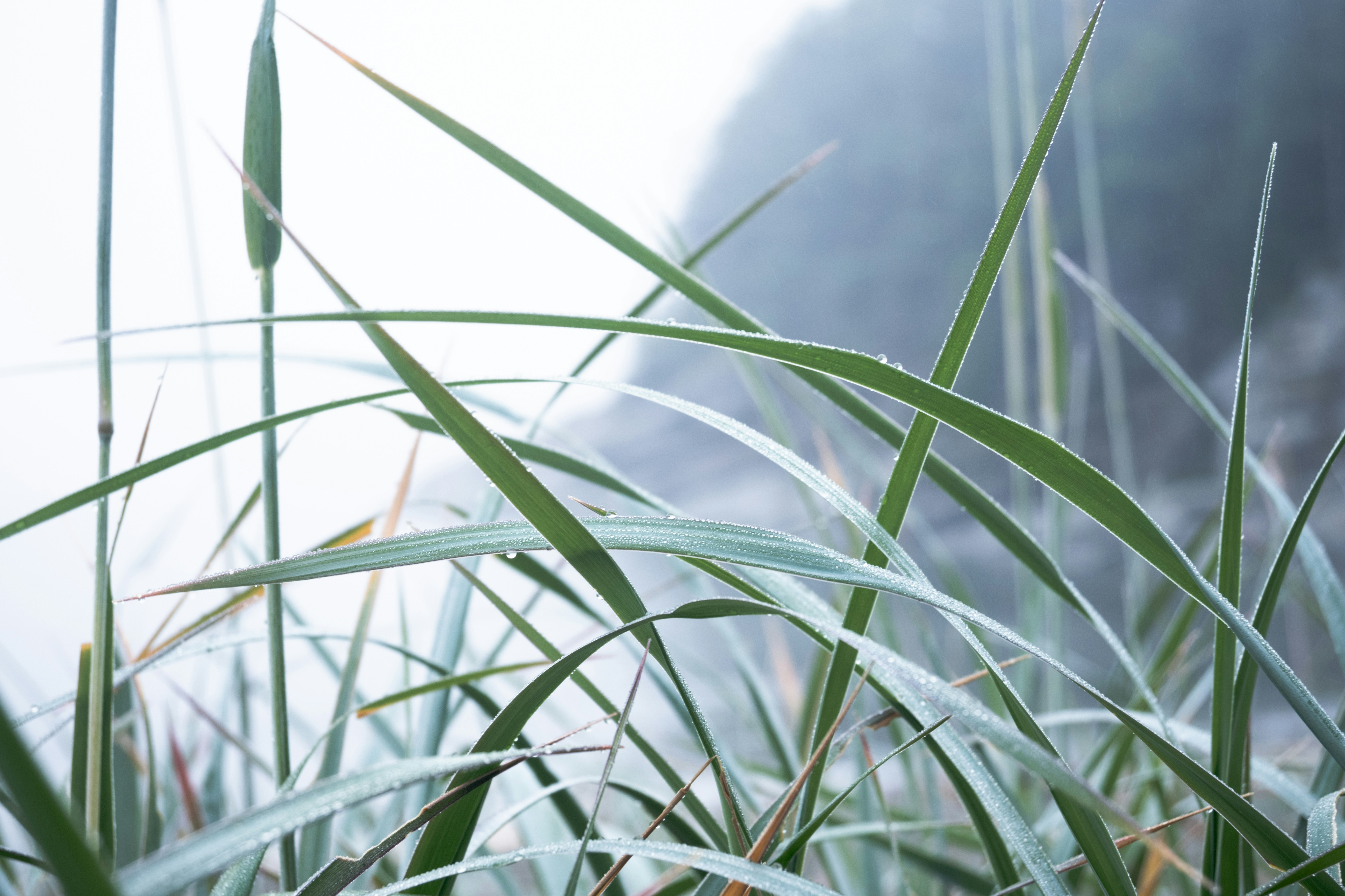 Photo by katya_nutmeg