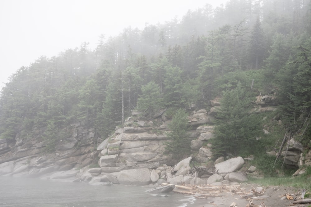 a foggy day on the shore of a rocky beach