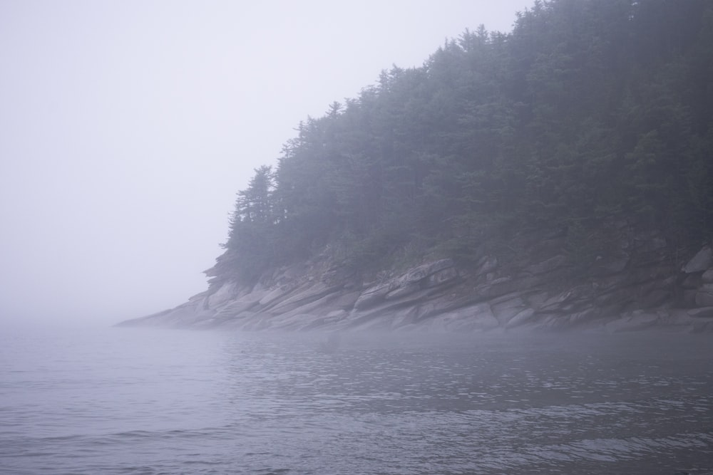 a foggy day on the shore of a lake