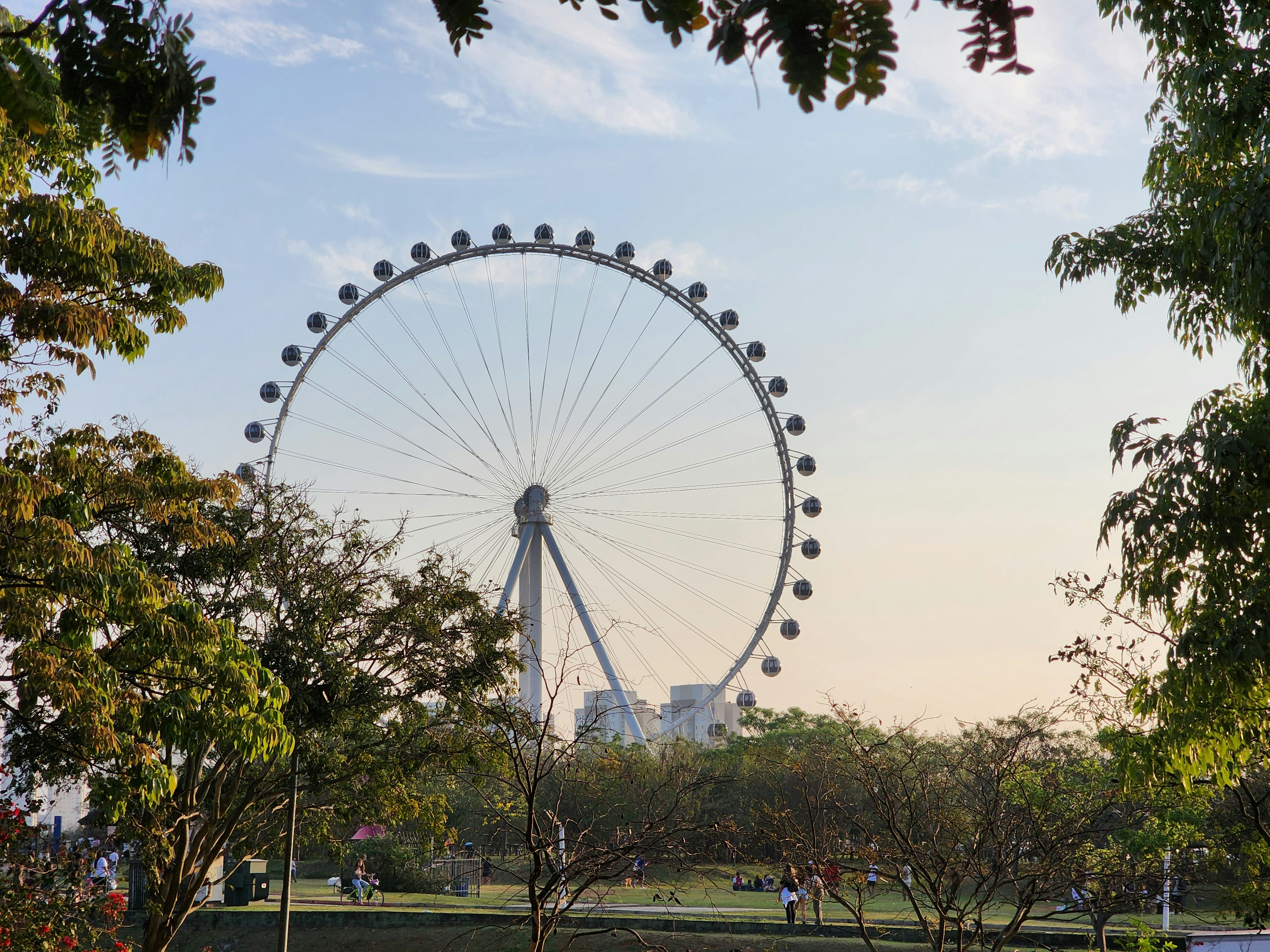 Photo by jaguadarte99